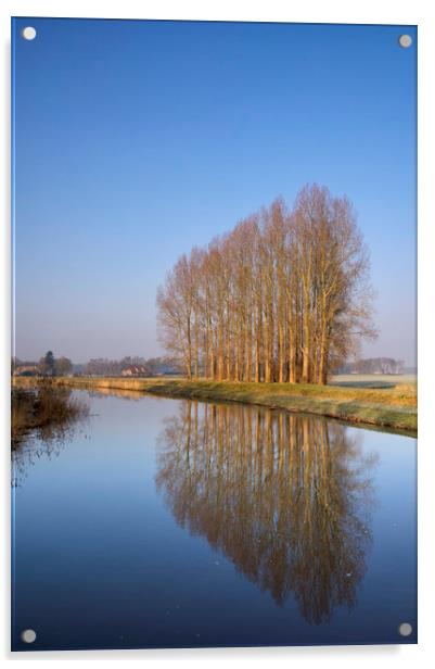 Row of trees along the Berkel river Acrylic by John Stuij
