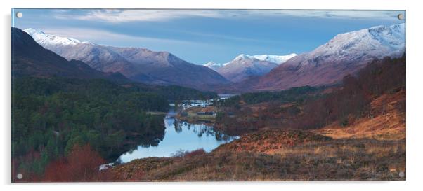 Glen Affric from Am Meallan Acrylic by Mike Johnston
