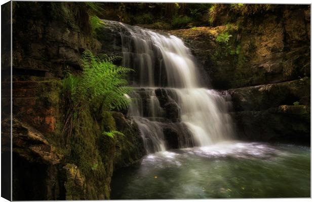 The waterfall behind Dinas Rock Canvas Print by Leighton Collins