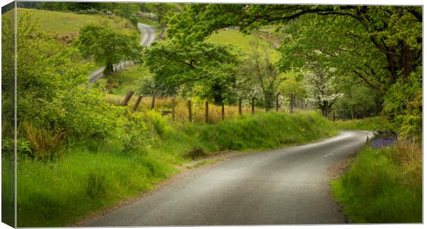 A winding Welsh country road Canvas Print by Leighton Collins