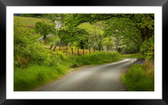 A winding Welsh country road Framed Mounted Print by Leighton Collins