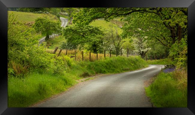 A winding Welsh country road Framed Print by Leighton Collins