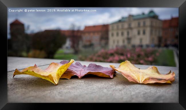 Autumn Leaves Framed Print by Peter Lennon