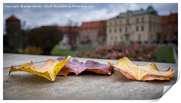Autumn Leaves Print by Peter Lennon