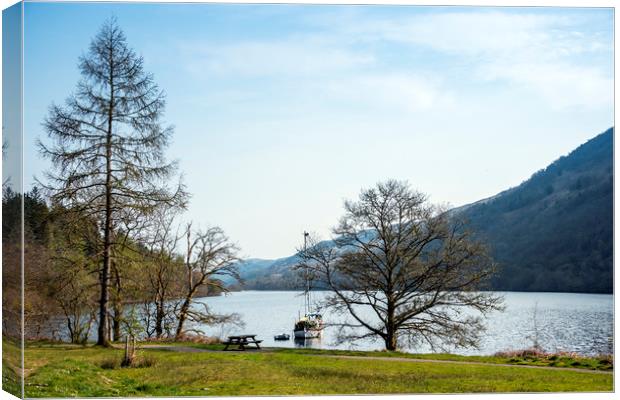 Pretty Loch Canvas Print by Svetlana Sewell