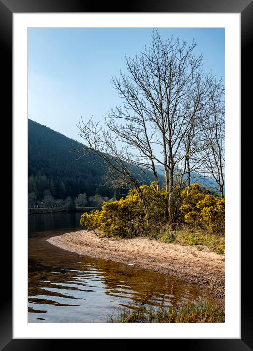 Spring on a Loch Framed Mounted Print by Svetlana Sewell