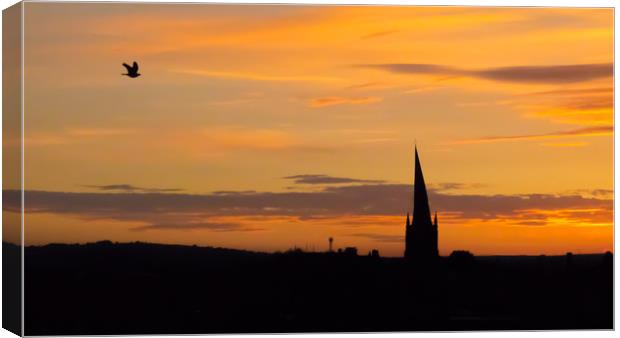 The Crooked Spire (and the passing bird) at sunset Canvas Print by Michael South Photography