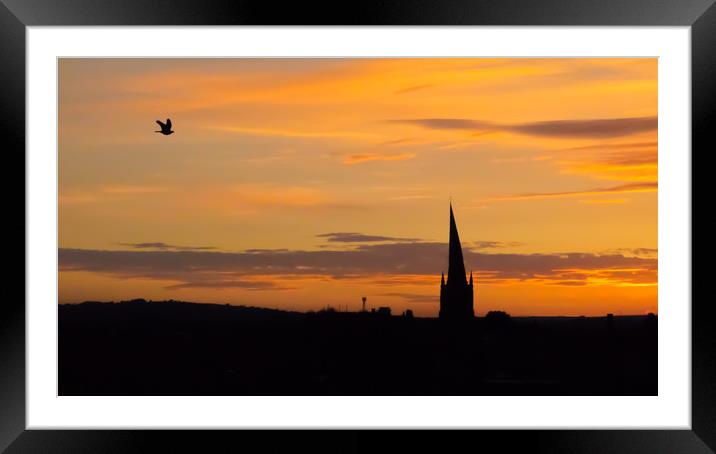 The Crooked Spire (and the passing bird) at sunset Framed Mounted Print by Michael South Photography
