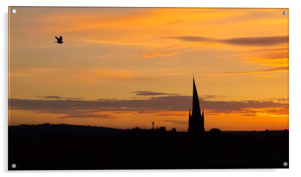 The Crooked Spire (and the passing bird) at sunset Acrylic by Michael South Photography