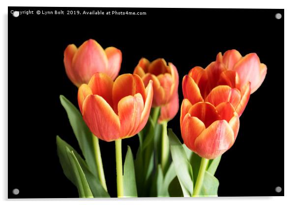 Seven Tulips Acrylic by Lynn Bolt