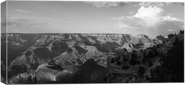Grand Canyon Wide Canvas Print by Dave Livsey