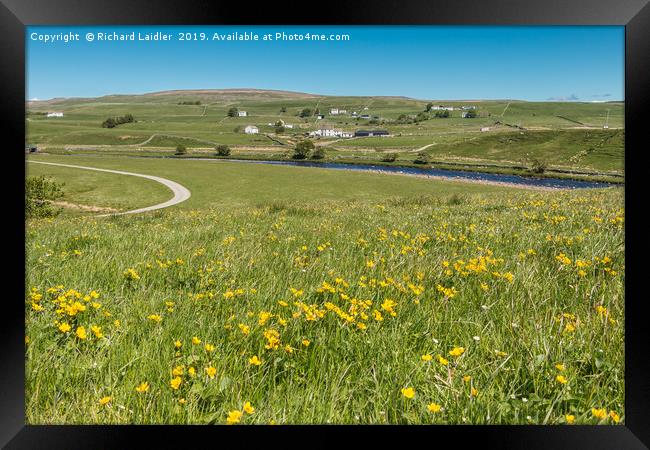 Spring Meadow at Cronkley, Upper Teesdale Framed Print by Richard Laidler