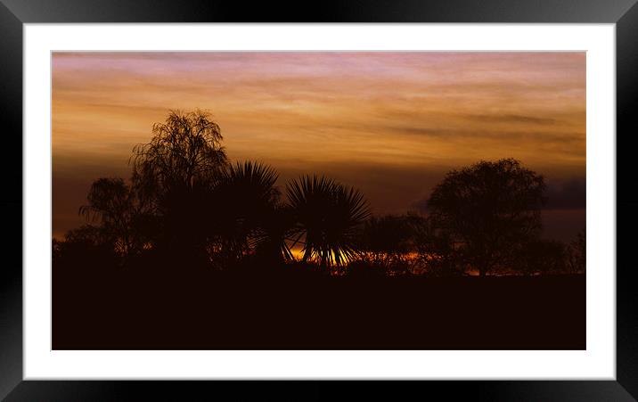 The Last Of The Sun Framed Mounted Print by Louise Godwin