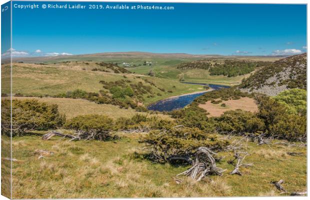 Forest in Teesdale from Bracken Rigg in Spring Canvas Print by Richard Laidler