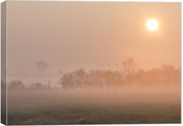 misty morning  Canvas Print by Jason Thompson