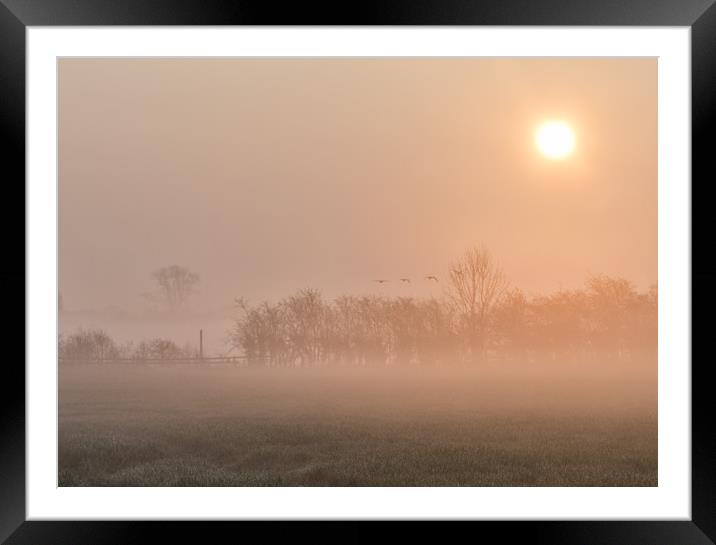 misty morning  Framed Mounted Print by Jason Thompson