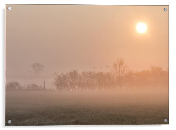 misty morning  Acrylic by Jason Thompson