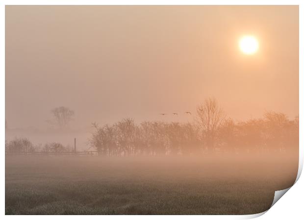 misty morning  Print by Jason Thompson