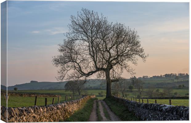 Thors cave walk Canvas Print by Jason Thompson