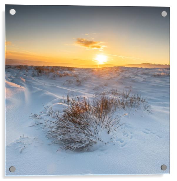 snowy sunrise, Acrylic by Jason Thompson