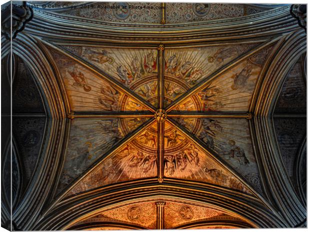 Looking up Canvas Print by Colin Chipp