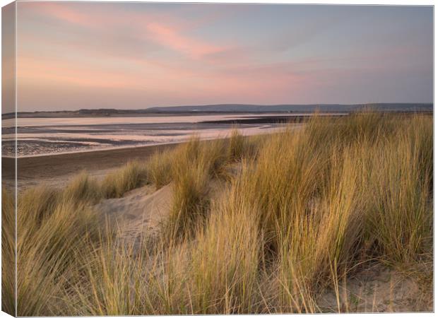 Dune grass on the sandy beach of Instow at Sunset Canvas Print by Tony Twyman