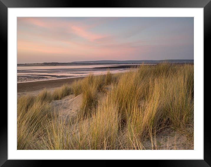 Dune grass on the sandy beach of Instow at Sunset Framed Mounted Print by Tony Twyman