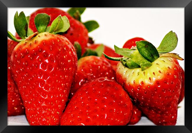 Strawberries..27th Feb 2011 Framed Print by Donna Collett