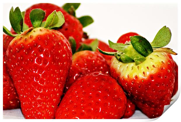 Strawberries..27th Feb 2011 Print by Donna Collett