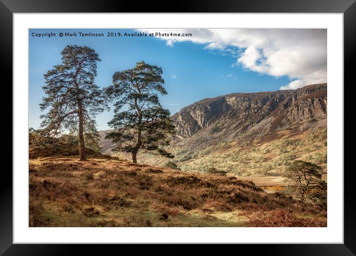 Two Pines Framed Mounted Print by Mark Tomlinson