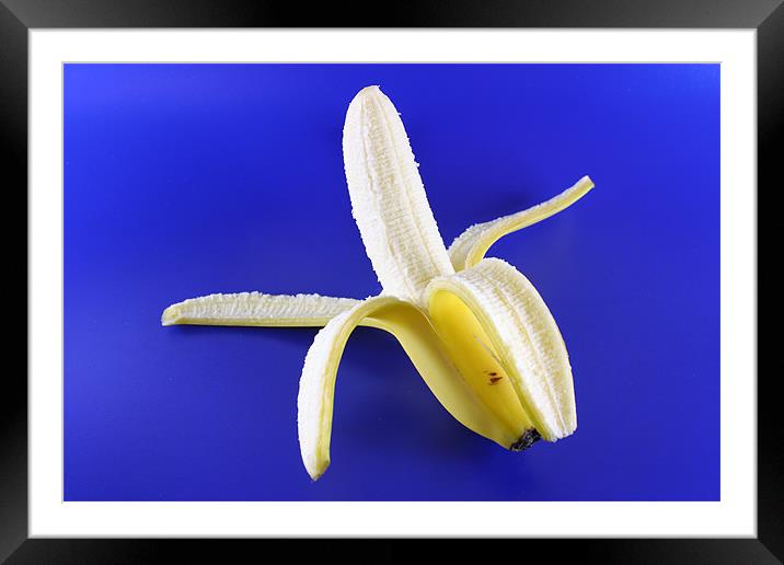 Banana Framed Mounted Print by Nicola Clark