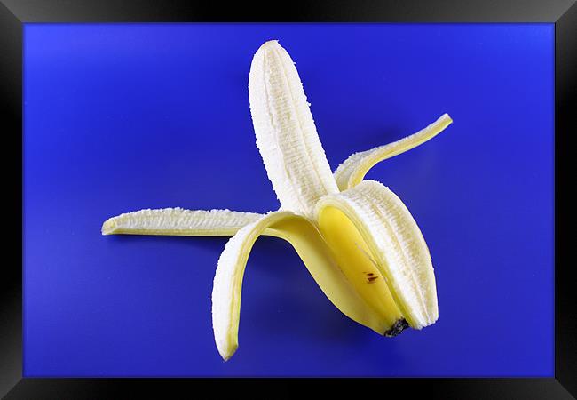 Banana Framed Print by Nicola Clark