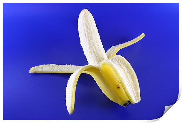 Banana Print by Nicola Clark