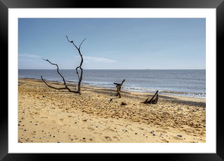 Covehithe Beach Framed Mounted Print by Diana Mower