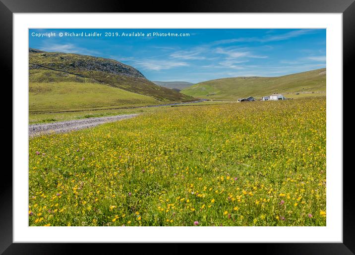 Flowering Hay Meadows at Widdybank Farm Framed Mounted Print by Richard Laidler
