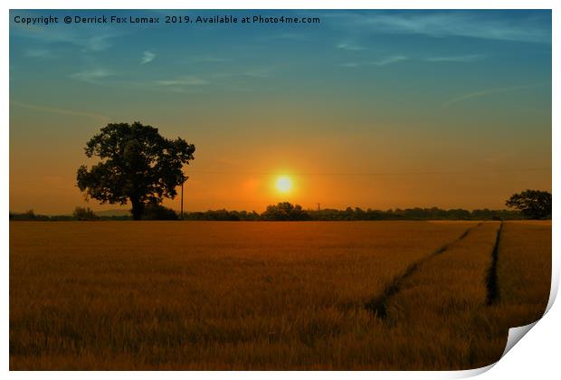 Sunset over cheshire Print by Derrick Fox Lomax
