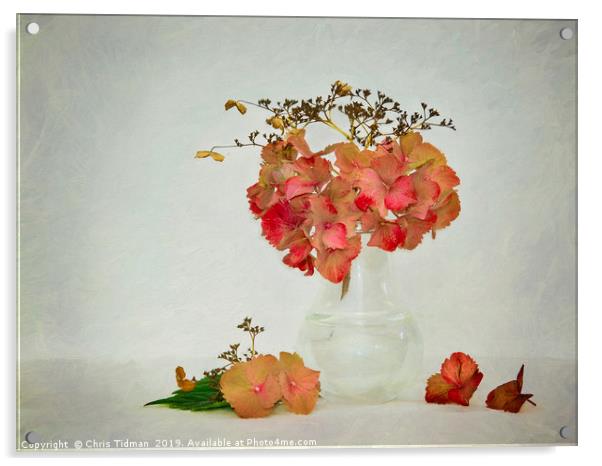 Hydrangea in Vase Acrylic by Chris Tidman