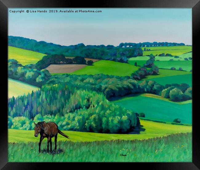 Summer Grazing: Triptych (Right) Framed Print by Lisa Hands