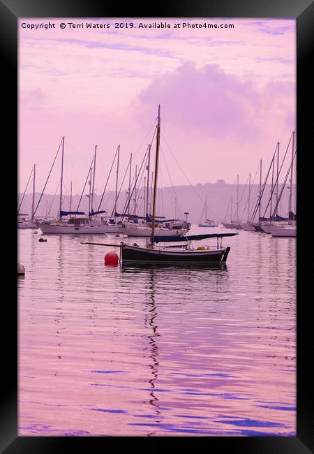 Dawn Framed Print by Terri Waters