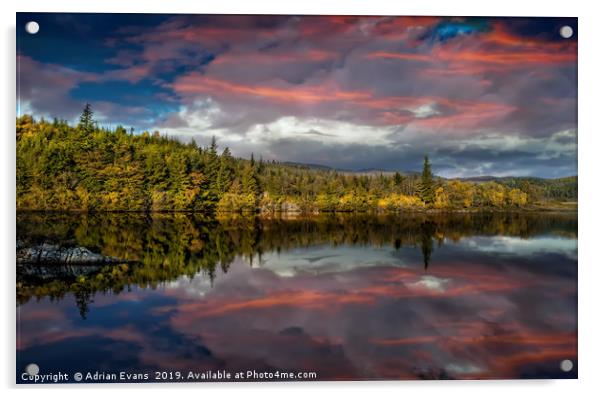 Lake Bodgynydd Sunset Acrylic by Adrian Evans