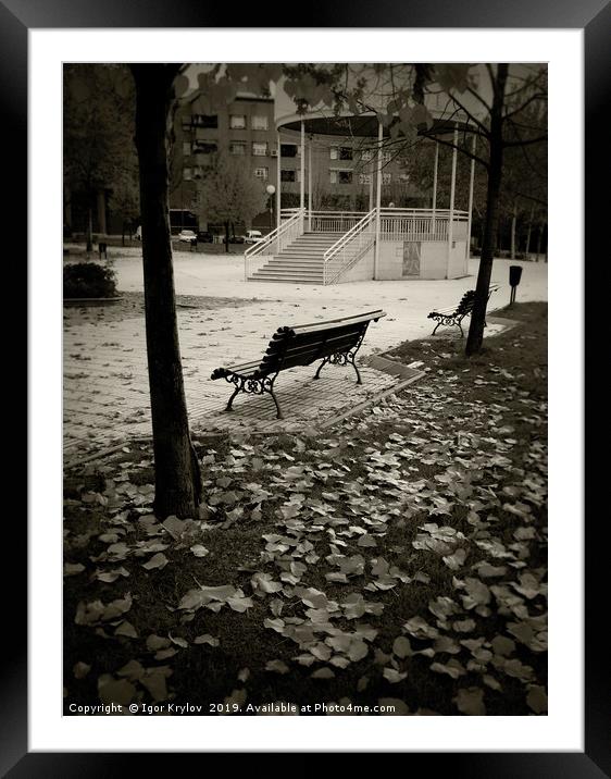 Autumn public garden Framed Mounted Print by Igor Krylov