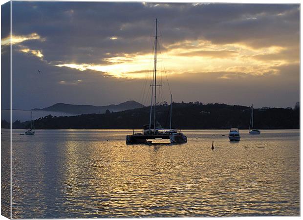 Catamaran in the Bay of Islands Canvas Print by tim bowron