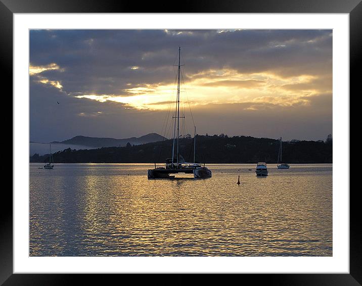 Catamaran in the Bay of Islands Framed Mounted Print by tim bowron