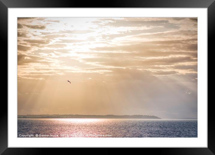 Sunset over Whitstable, Kent Framed Mounted Print by Donna Joyce