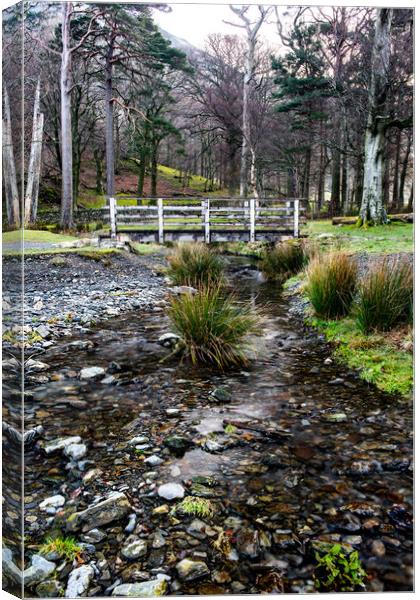 Lake District mountain stream Canvas Print by Robbie Spencer