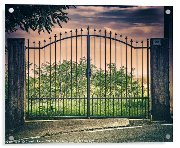 Gate, street number 22 Acrylic by Claudio Lepri