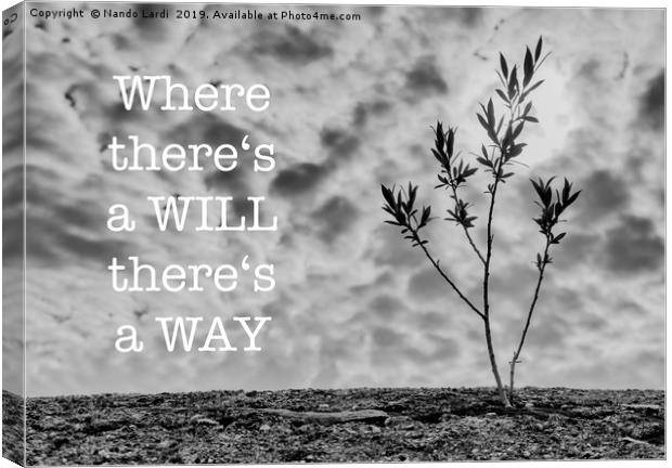 Will the Way Canvas Print by DiFigiano Photography