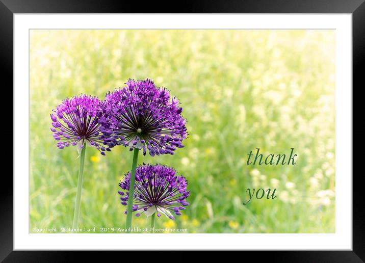 Thank You Framed Mounted Print by DiFigiano Photography