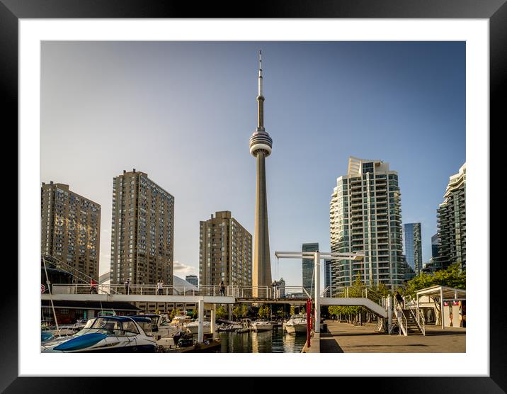 Downtown Toronto Framed Mounted Print by Naylor's Photography