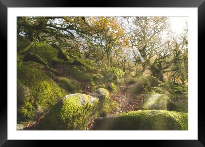 The Magical Wistmans Wood Framed Mounted Print by Images of Devon